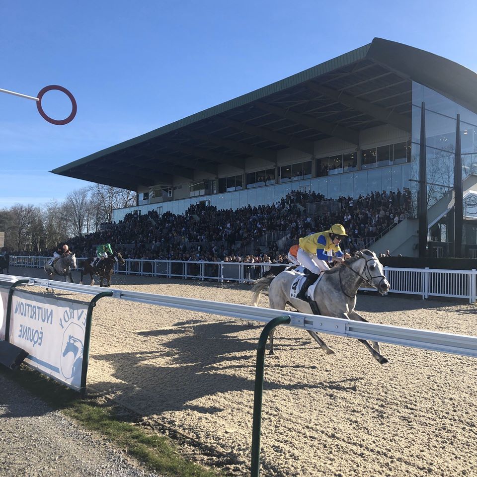 Meeting d'hiver 2019-2020 - Hippodrome de Pau