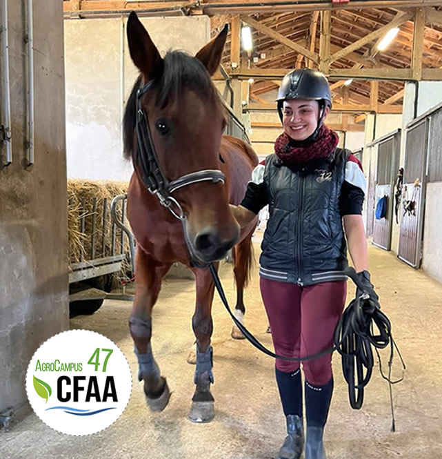 Nouvelle formation spécialisée dans l'Éducation et le Travail des jeunes chevaux