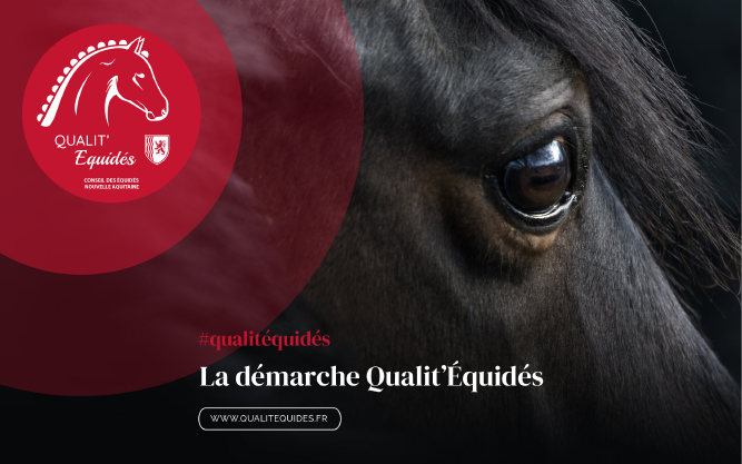 Nouvelles dates de formation au label Qualit'Équidés en Nouvelle Aquitaine