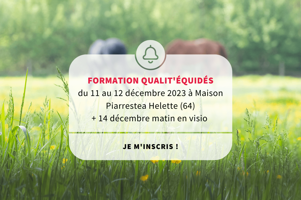 Nouvelle formation Qualit'Équidés (64)