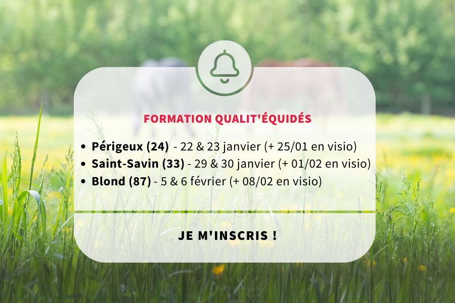 Nouvelle année, nouvelles formations Qualit'Équidés !