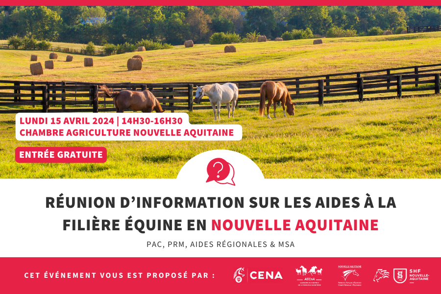 Réunion d’information sur les aides à la filière équine en Nouvelle Aquitaine