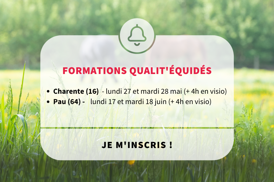 Prochaines formations Qualit'Équidés - mai & juin 2024