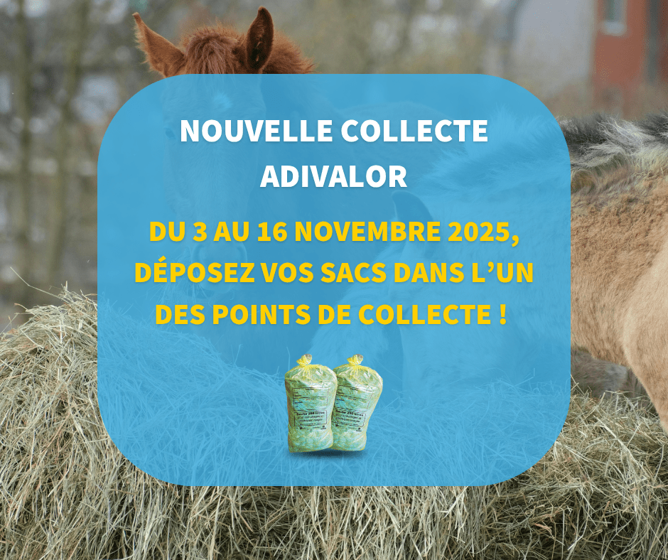 Nouvelle collecte ADIVALOR du 3 au 16 novembre 2025 !