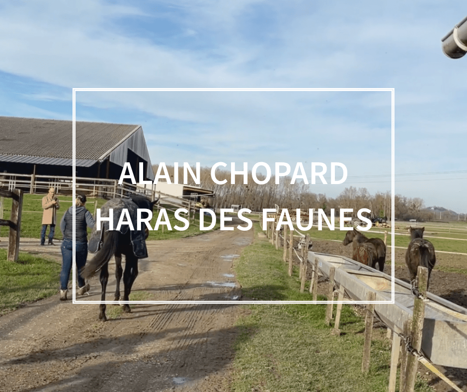 Témoignage de nos labellisés - Alain Chopard, Haras des Faunes
