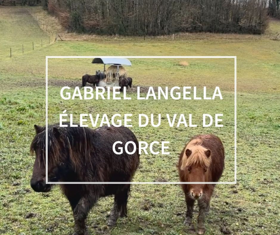 Témoignage de nos labellisés - Gabriel Langella, Elevage du Val de Gorce
