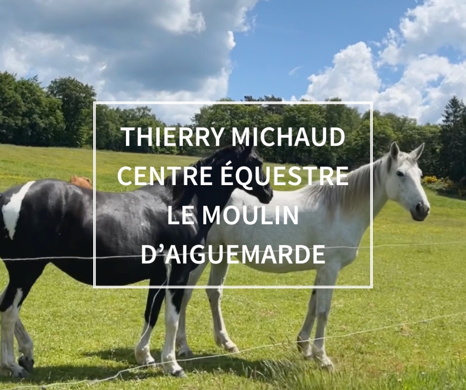 Témoignage de nos labellisés - Thierry Michaud, Centre Équestre Le Moulin d'Aiguemarde