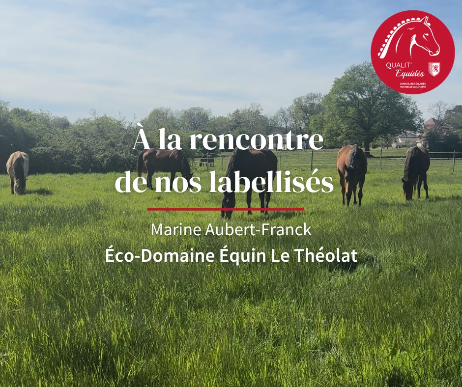 À la rencontre de nos labellisés - Marine Aubert-Franck, Éco-Domaine Équin Le Théolat