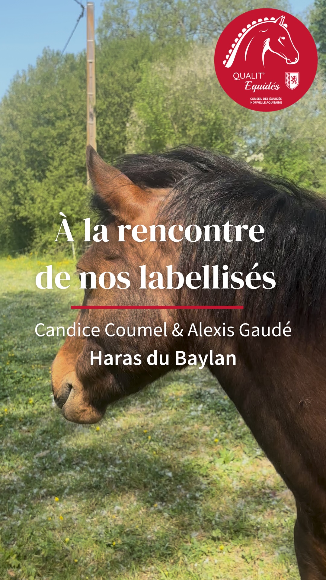 À la rencontre de nos labellisés - Candice Coumel & Alexis Gaudé, Haras du Baylan