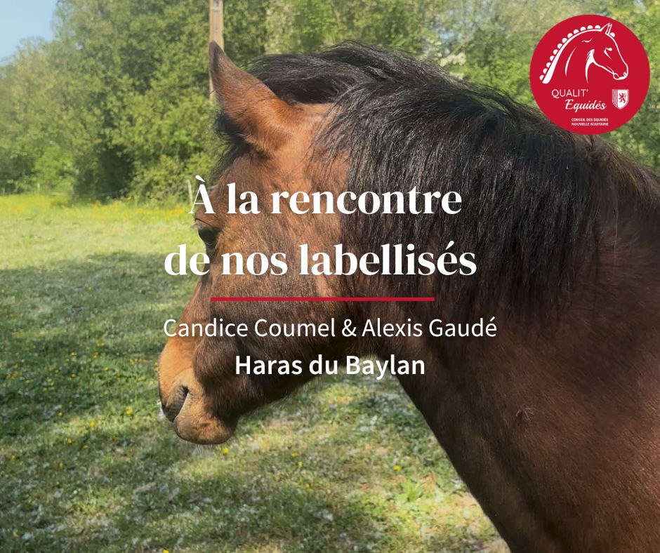 À la rencontre de nos labellisés - Candice Coumel & Alexis Gaudé, Haras du Baylan
