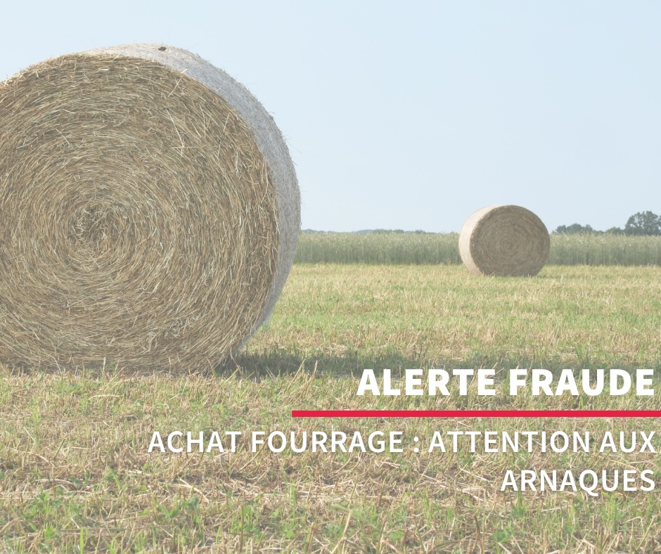 🚨 ACHAT DE FOURRAGE : ATTENTION AUX ARNAQUES !