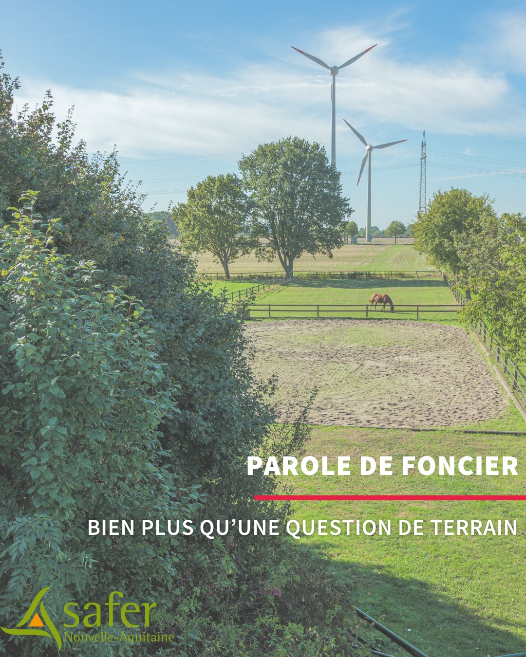 Foncier équin : comment la restructuration des terres peut renforcer la pérennité d’un centre équestre