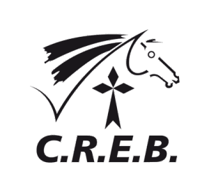 CREB - DRESSAGE - CHAMPIONNAT DU MORBIHAN Pro Amateur Club