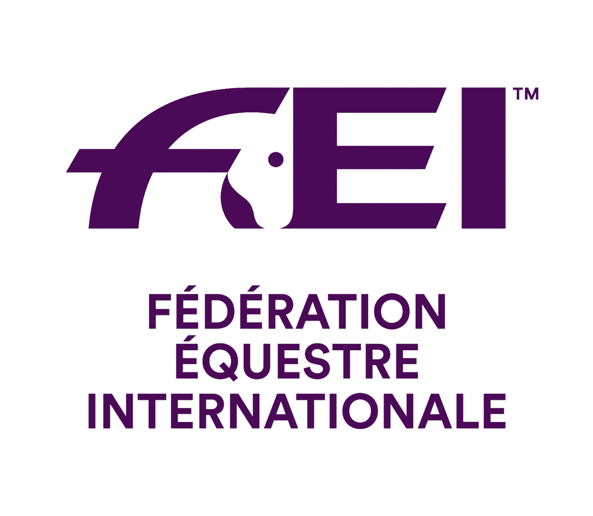 FEI - Compétition internationale de CCE