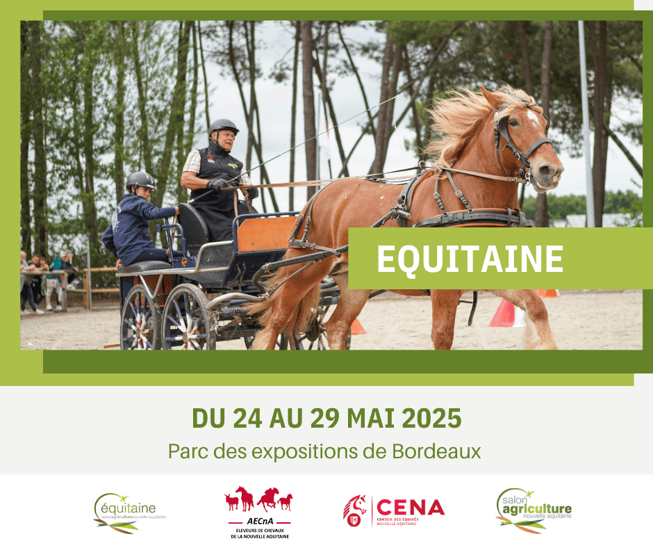 Equitaine 2025