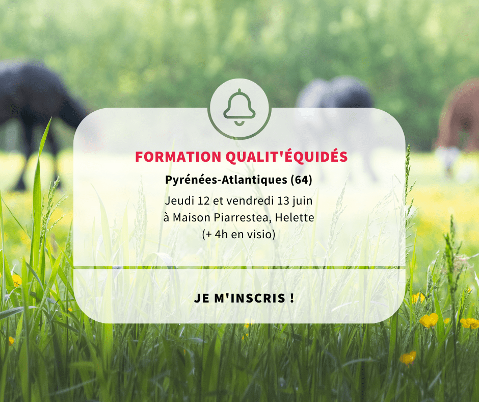 Formation Qualit'Équidés Helette (64)