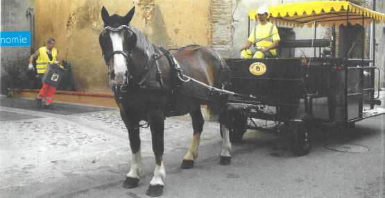 L'énergie Cheval comparée aux énergies thermique et électrique