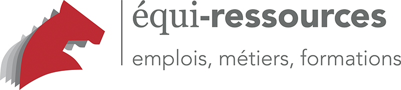 Equi-Ressources, Synthèse Emploi, Décembre 2018