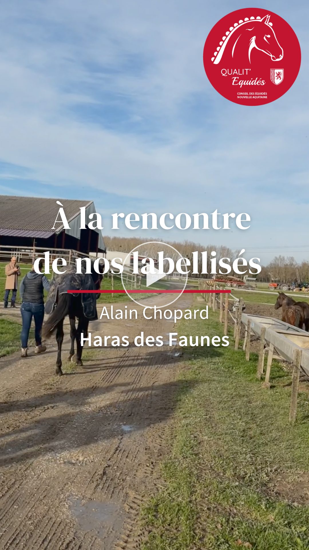 Alain Chopard - Haras des Faunes