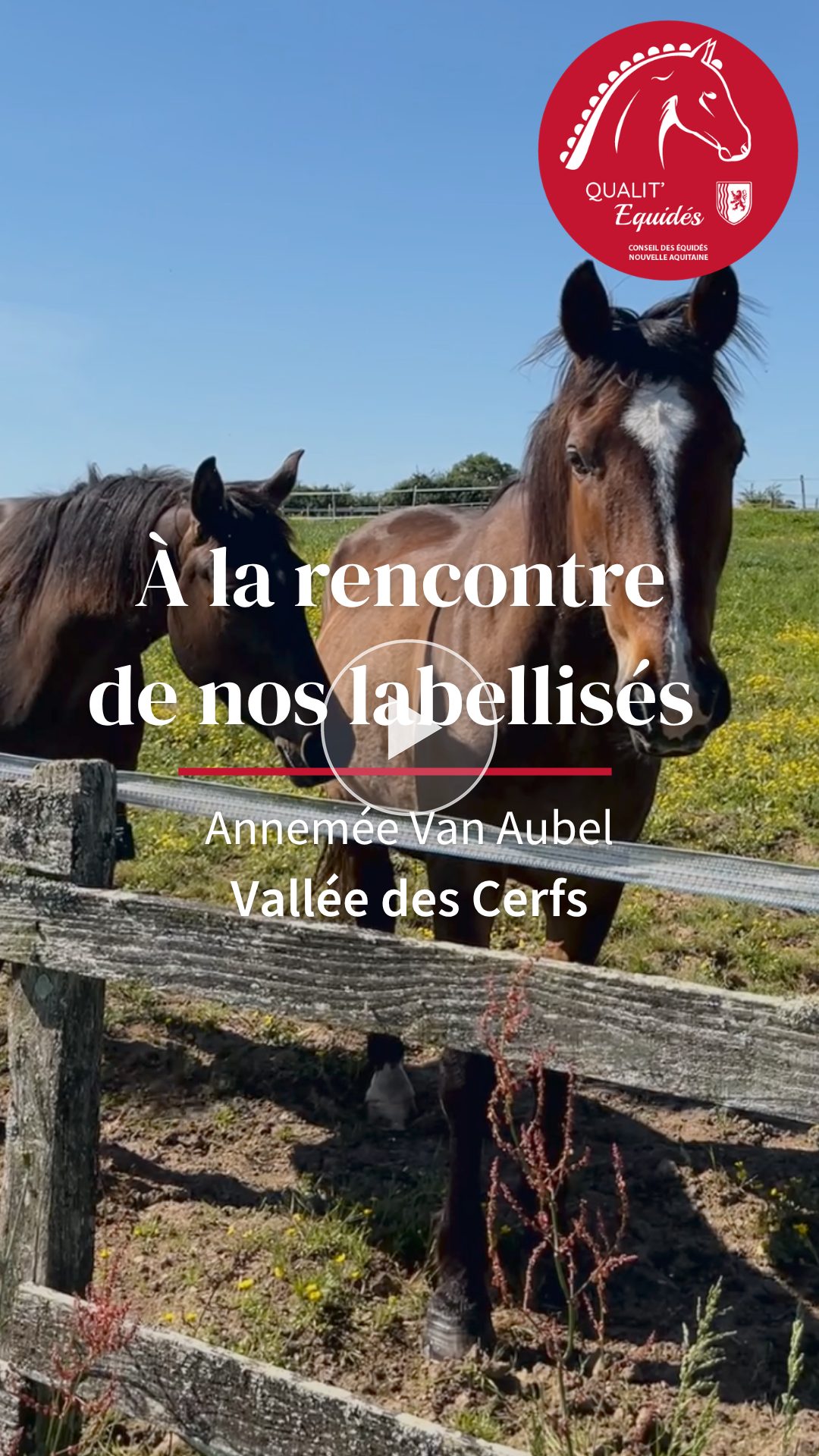 Annemée Van Aubel - Vallée des Cerfs