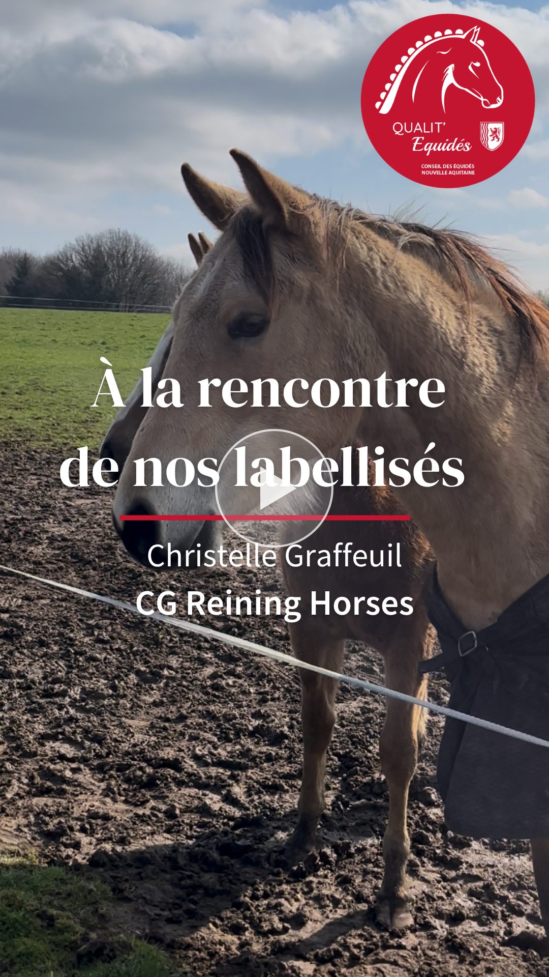 Christelle Graffeuil - CG Reining Horses