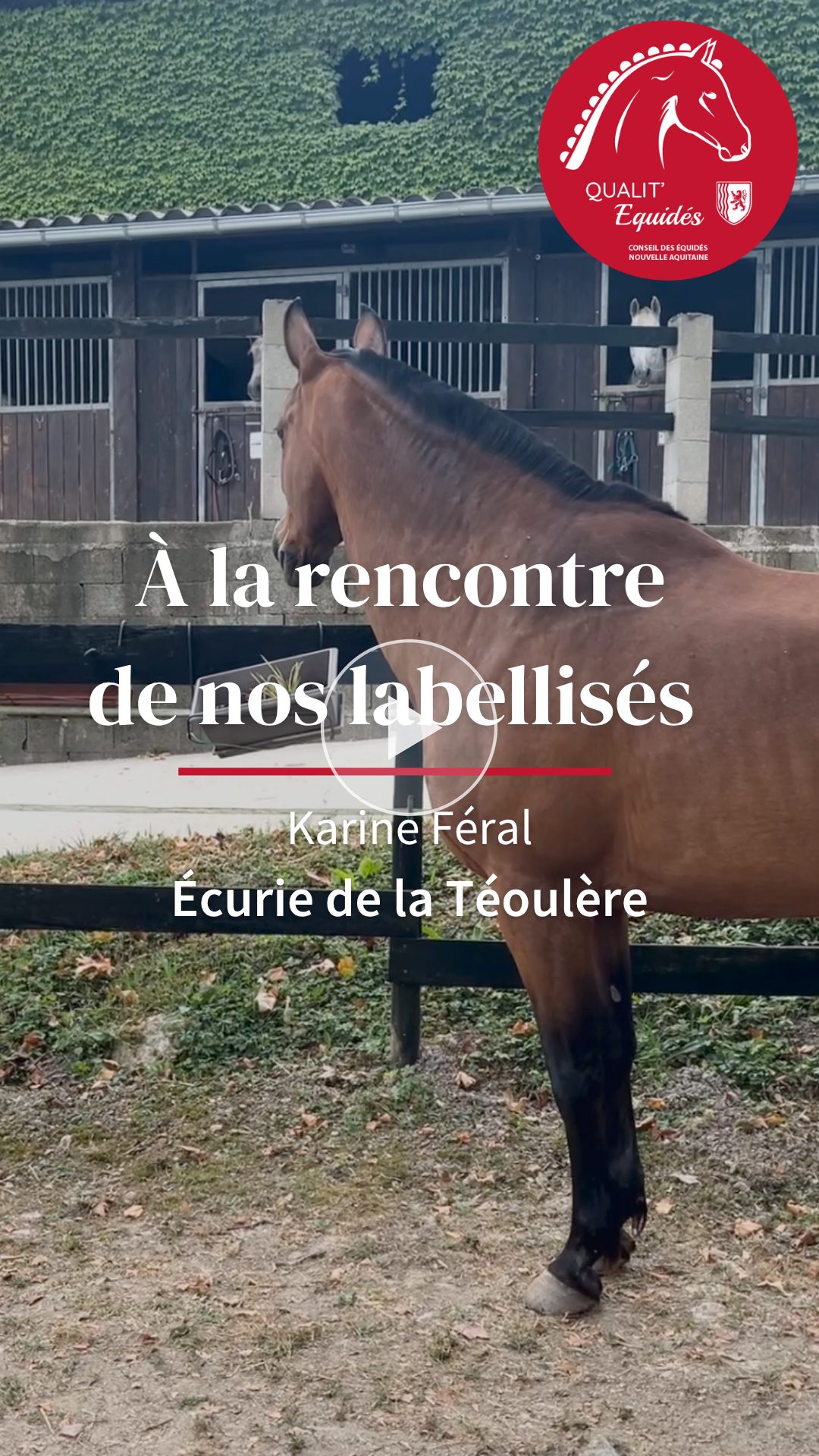 Karine Féral - Écurie de la Téoulère