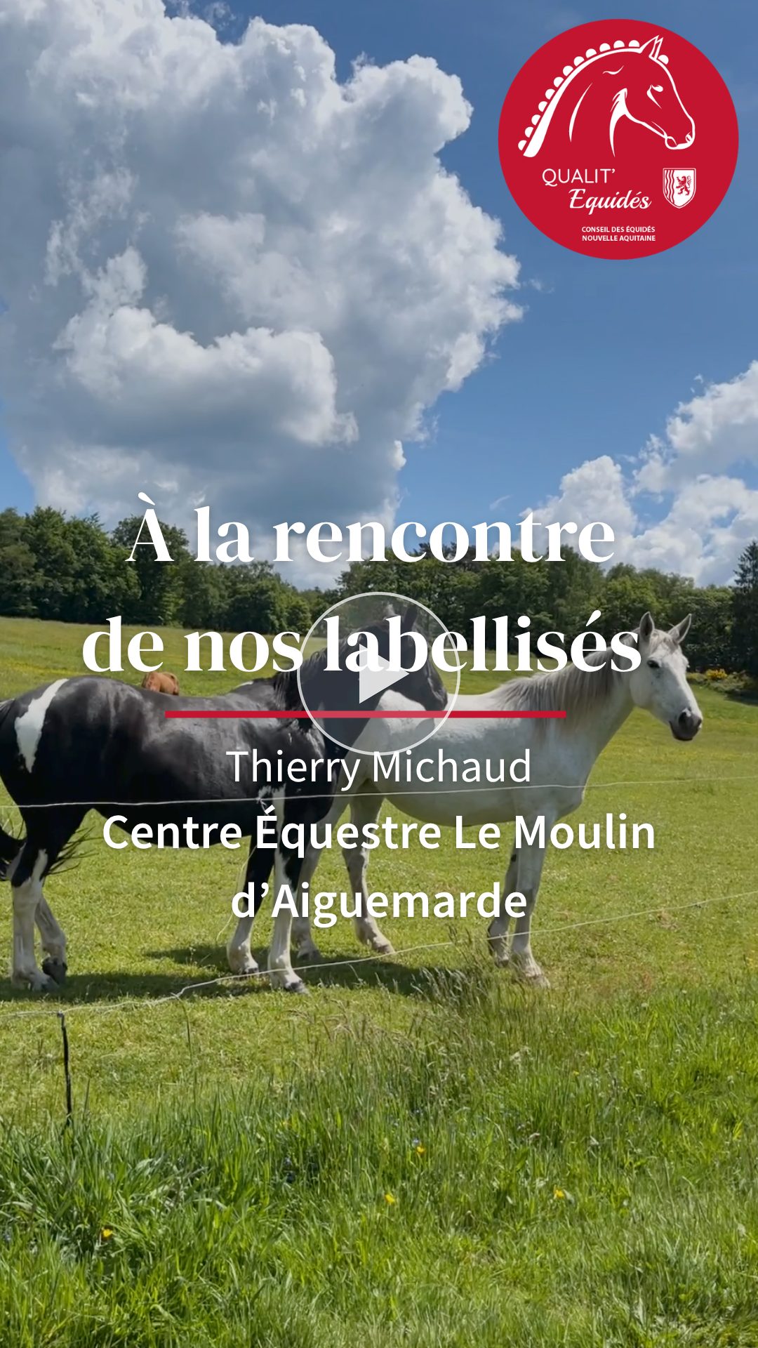 Thierry Michaud - Centre Équestre Le Moulin d'Aiguemarde